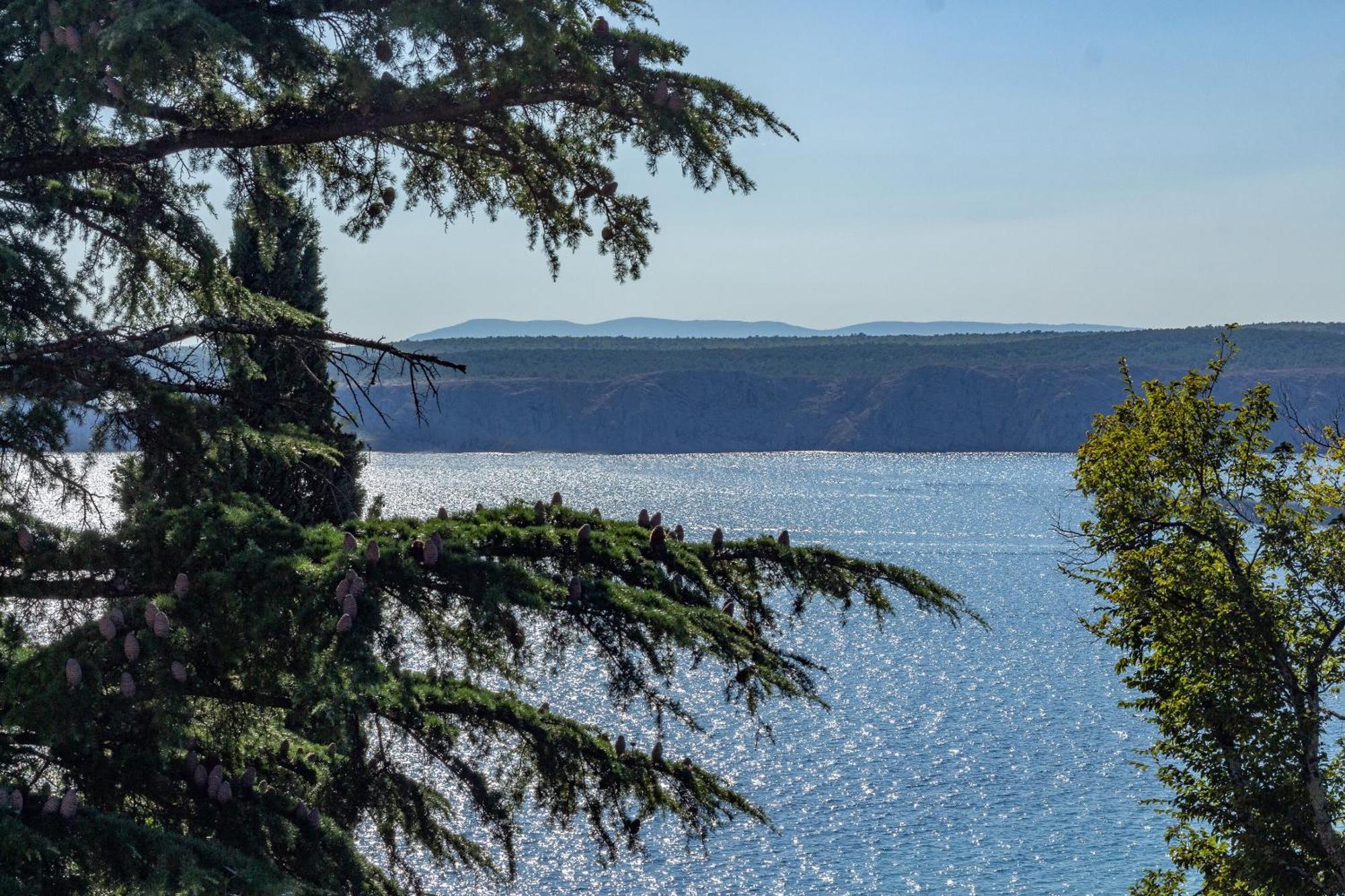 Apartment Seneca Ядраново Экстерьер фото